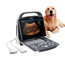 Mindray DP-10VET Veterinary Medical Ultrasound