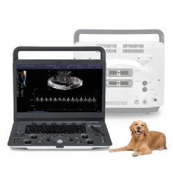 Sonoscape E2V Veterinary Medical Ultrasound