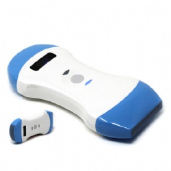 Portable dual heads wireless ultrasound